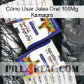 Cómo Usar Jalea Oral 100Mg Kamagra 12